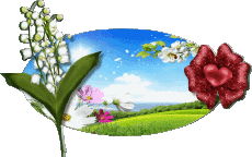 Messages Italian 1° de Maggio Buon 