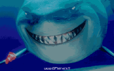 Humour - Fun Animaux Requins 01 