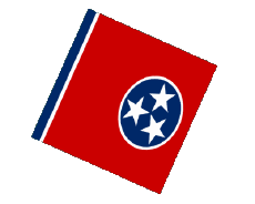 Bandiere America U.S.A - Stati Tennessee Sfera - Cubo 