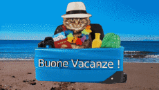 Messagi Italiano Buone Vacanze Sfondo animato 003 