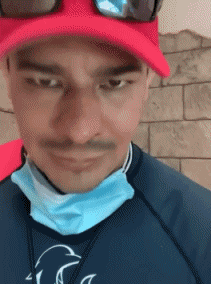 Humor - Fun Animales Focas lobo marino 01 