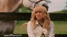 Humor -  Fun Tiere Pferde Serie 02 