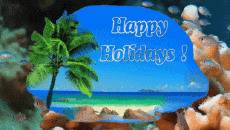 Messages English Happy Holidays Animated Background 006 