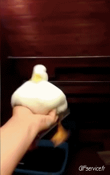 Humor -  Fun Animals Birds Various 02 