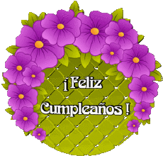 Messages Spanish Feliz Cumpleaños Floral Transparent Background 019 