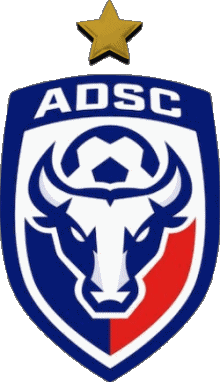 Sportivo Calcio Club America Costa Rica Asociación Deportiva San Carlos 
