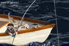 Humor -  Fun Tiere Katze 01 