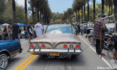 Humor -  Fun Transport Cars Lowriding 