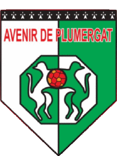 Deportes Fútbol Clubes Francia Bretagne 56 - Morbihan AVP Plumergat 