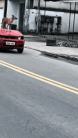 Humour - Fun Dans La Rue Mix 02 