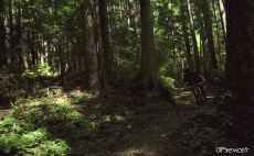 Humor -  Fun Sports Mountain biking Fun - Win 