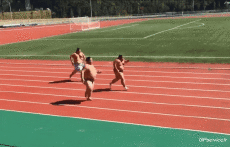 Humor -  Fun Sports Sumo Serie 01 