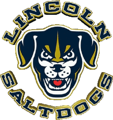 Sports Baseball U.S.A - A A B Lincoln Saltdogs 
