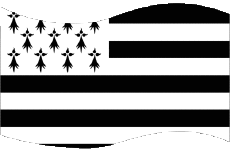 Fahnen Frankreich Regionen Bretagne Rechteck 