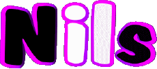 Prénoms MASCULIN - UK - USA N Nils 