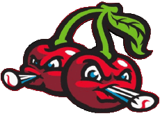 Deportes Béisbol U.S.A - Northwoods League Traverse City Pit Spitters 