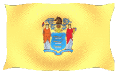 Fahnen Amerika U.S.A - States New Jersey Welligkeit 