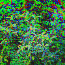 Humor -  Fun GIF Artists Bill Tavis 