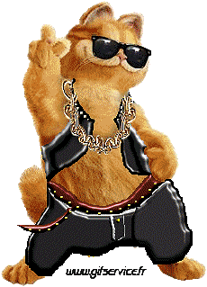 Humor - Fun Animales Gatos 03 