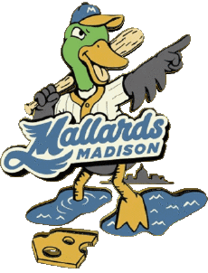 Sportivo Baseball U.S.A - Northwoods League Madison Mallards 