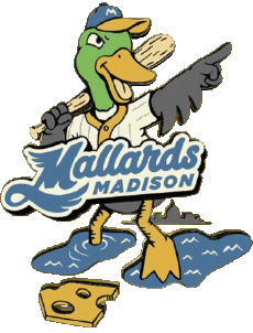 Sports Baseball U.S.A - Northwoods League Madison Mallards 