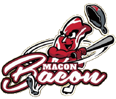 Deportes Béisbol U.S.A - CPL - Coastal Plain League Macon Bacon 