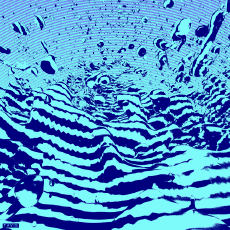 Humour - Fun GIF Artistes Bill Tavis 