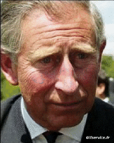 Prince Charles - Dobby-Humor - Fun Morphing - Parece People - Vip People Serie 03 