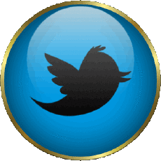 Multimedia Computadora - Internet Twitter 