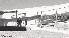 Humour - Fun Sports Skateboard Free Style Fun - Win 02 