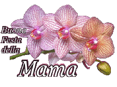 Messagi Italiano Buona Festa della Mamma 05 