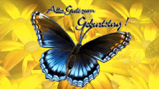 Messages German Alles Gute zum Geburtstag Schmetterlinge Animated Background 001 