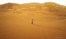 Humor -  Fun Sports SnowBoard Sandboarding 