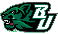 Sports N C A A - D1 (National Collegiate Athletic Association) B Binghamton Bearcats 