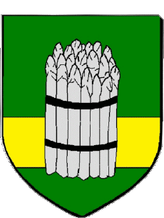 Blazon-Flags France Departments - Cities 41 VINEUIL 