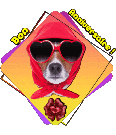 Messages Français Bon Anniversaire Animaux 012 