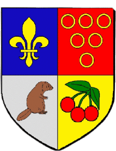 Flags France Departments - Cities 78 GUYANCOURT 