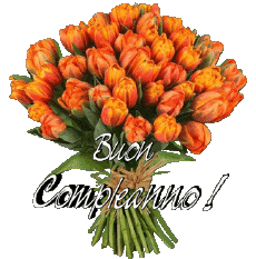 Messages Italien Buon Compleanno Floreale Fond Transparent 012 