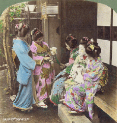 Humor - Fun Efectos 3d Stéreoscopique Wiggle 