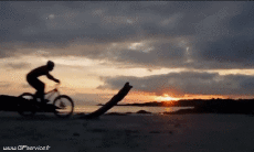 Humor -  Fun Sports Mountain biking Fun - Win 