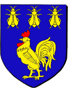 Banderas Francia Departamentos - Ciudades 81 MAZAMET 