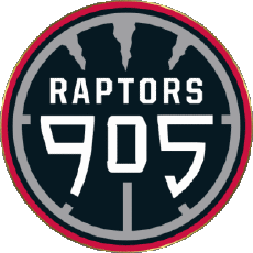 Sports Basketball U.S.A - N B A Gatorade Raptors 905 