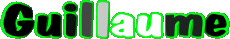 Vorname MANN - Frankreich G Guillaume 