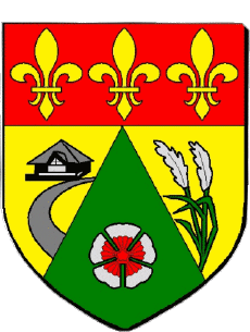 Blason-Drapeaux France Départements - Villes 974 TROIS BASSINS Blason