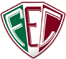 Sports FootBall Club Amériques Logo Brésil Piauí Fluminense Esporte Clube 