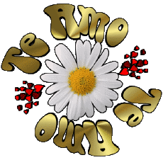 Messagi Spagnolo Te Amo 04 