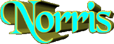 First Names MASCULINE -  UK - USA - IRL - AUS - NZ N Norris 