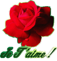 Messages French Je T'aime 01 
