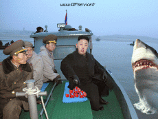 Humor - Fun Animales Tiburones 01 