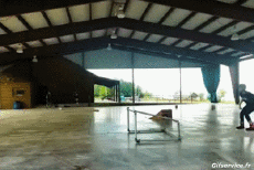 Humour - Fun Sports Roller Skate Gamelle Fail 